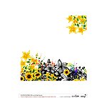 花纹