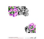 花纹