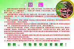 香菇