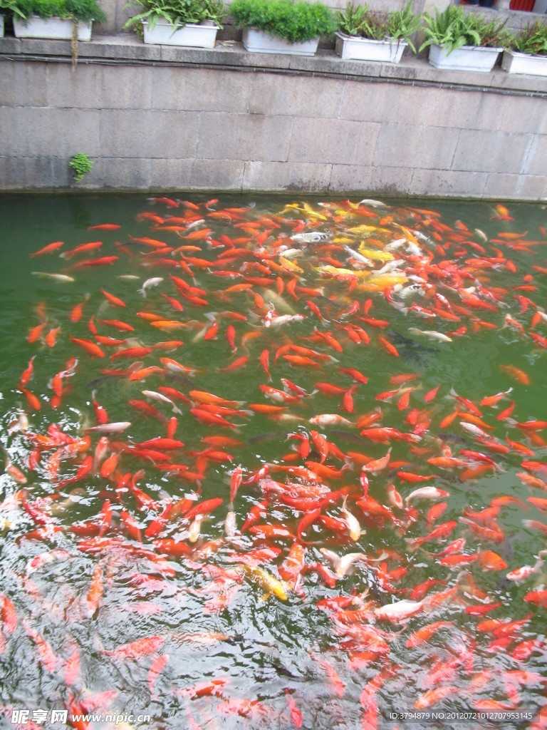 上海城隍庙
