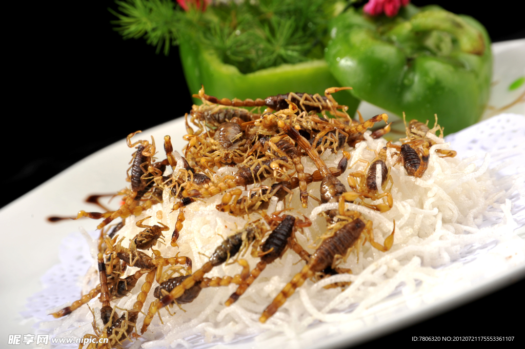 橄榄油炸山蝎子