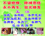 治皮肤病症