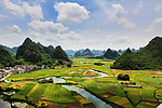 田园风光