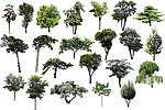 园林绿色树木设计PSD分层素材