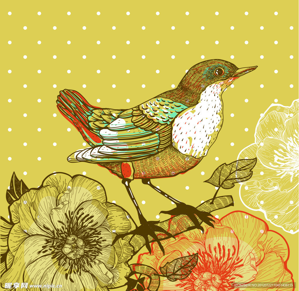 花鸟