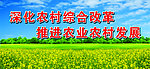 深化农村综合改革