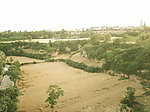 田野