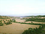 田野