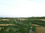 田野