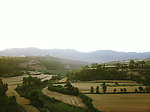 田野