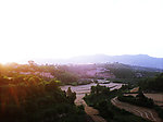 田野