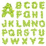 英文字母字体
