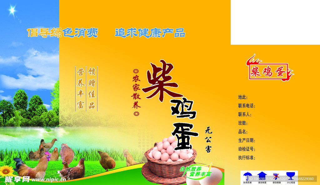 鸡蛋包装
