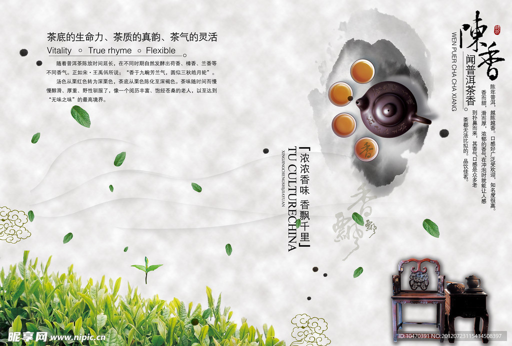陈香普洱