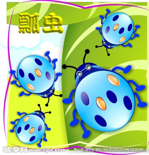 瓢虫
