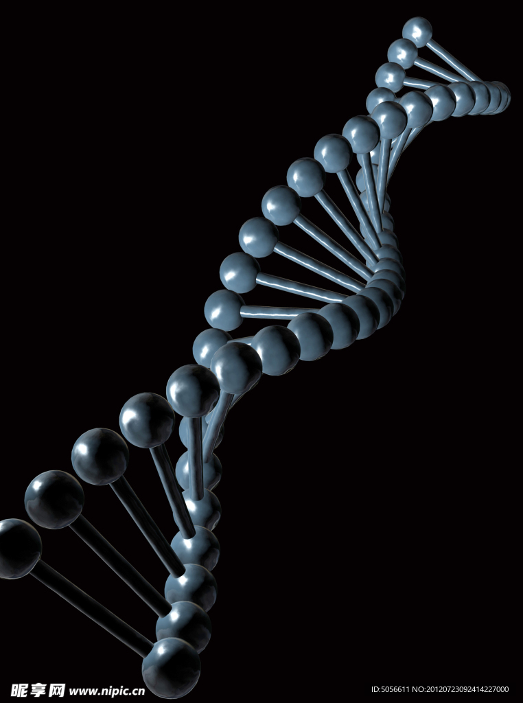 分子结构图