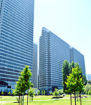 高楼大厦