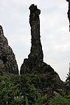 生命之根
