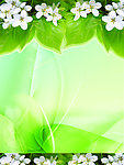 绿色背景 花纹
