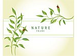 绿叶花草背景