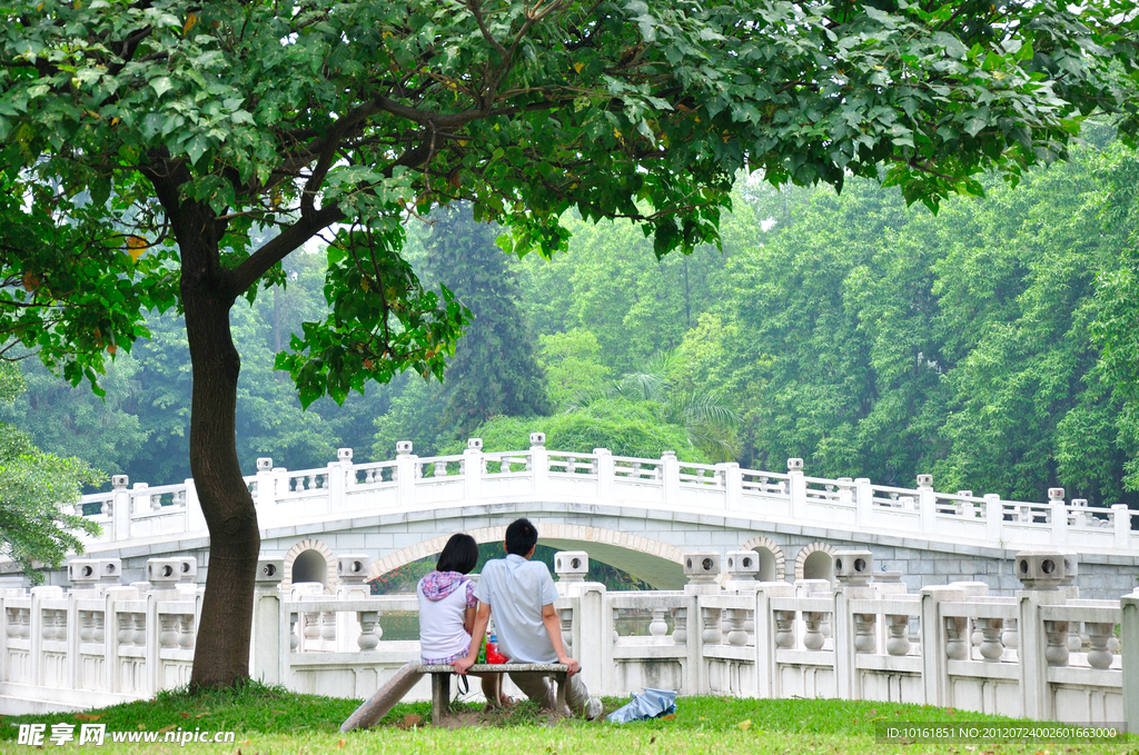 树下小憩