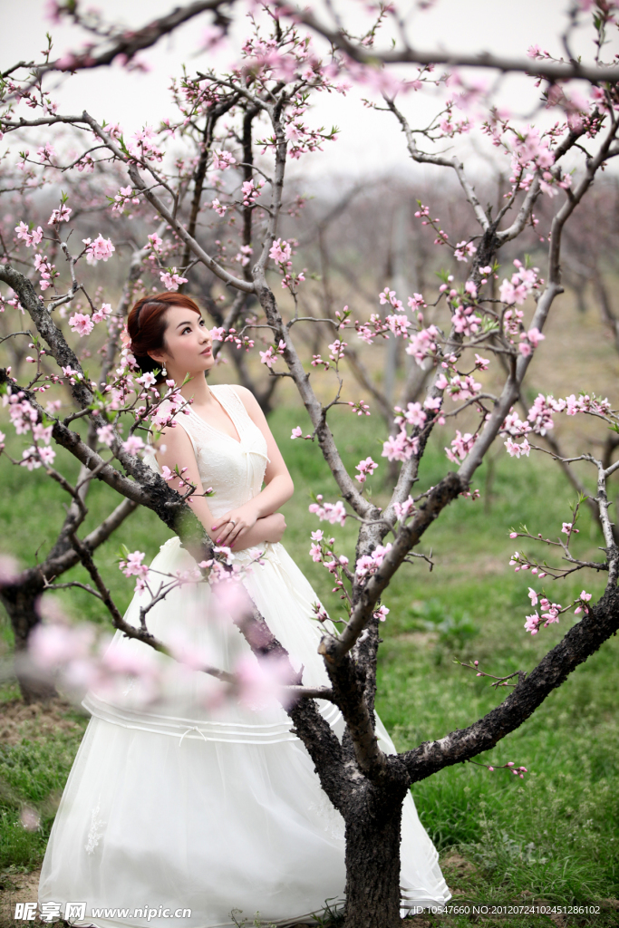 阳山 婚纱照