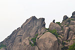 黄山鳌鱼头