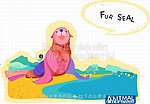 海豚