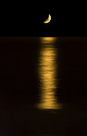 明月夜