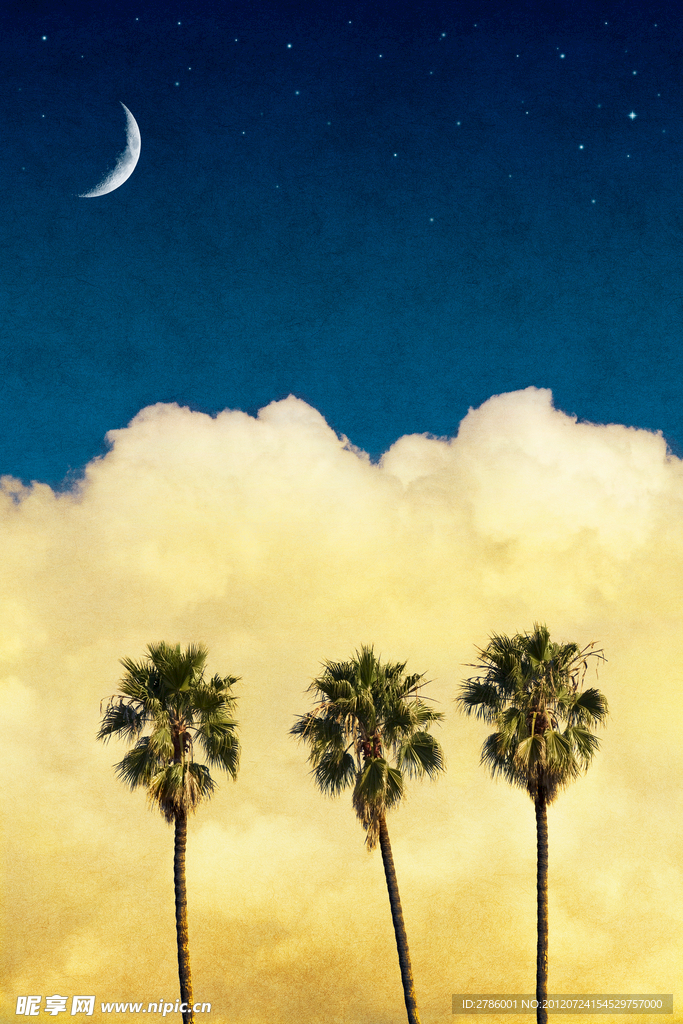 月亮 云朵 椰子