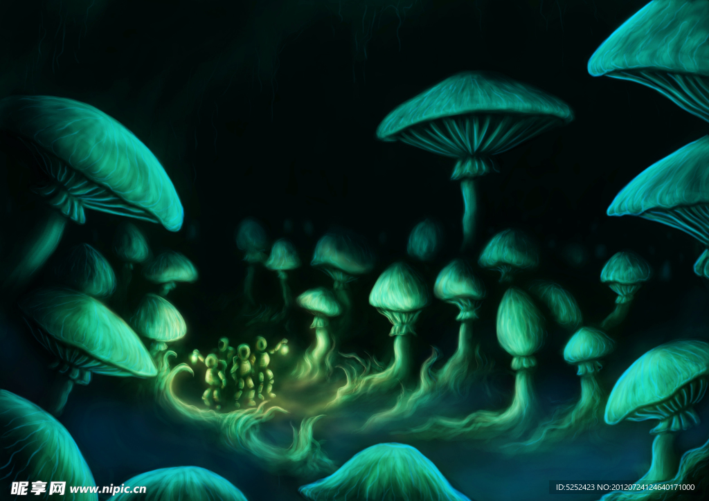 蘑菇的世界
