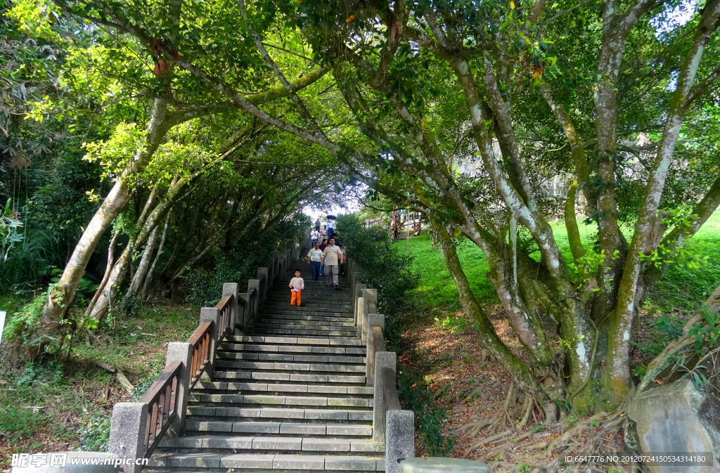 生态公园
