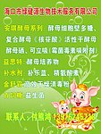 海报 酵母