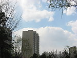 早春高楼