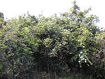 莆田风景