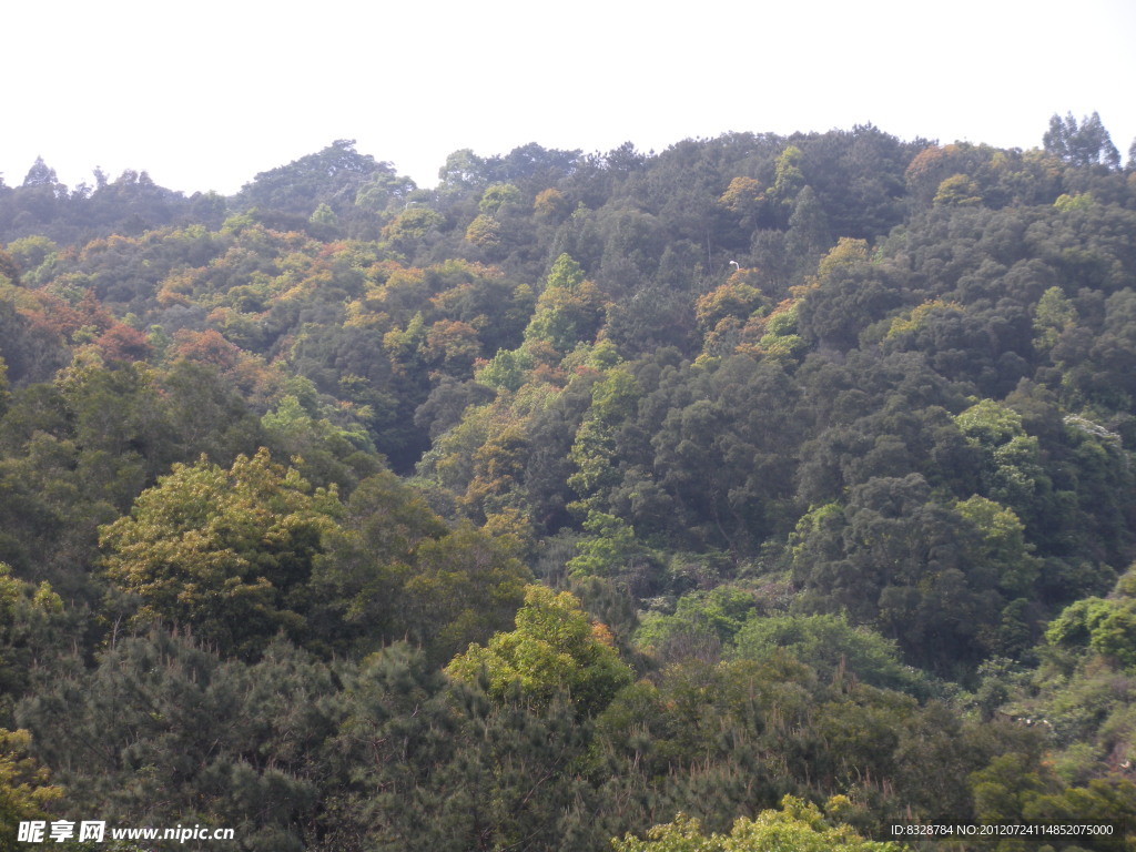 莆田风景