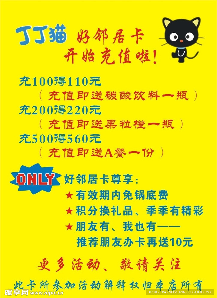 丁丁猫