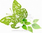 绿色蝴蝶