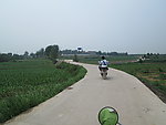 马路