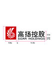 高扬控股logo