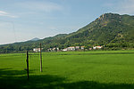 鄂东新农村