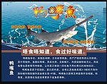 鸭嘴鱼