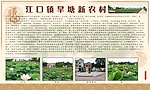 新农村风貌