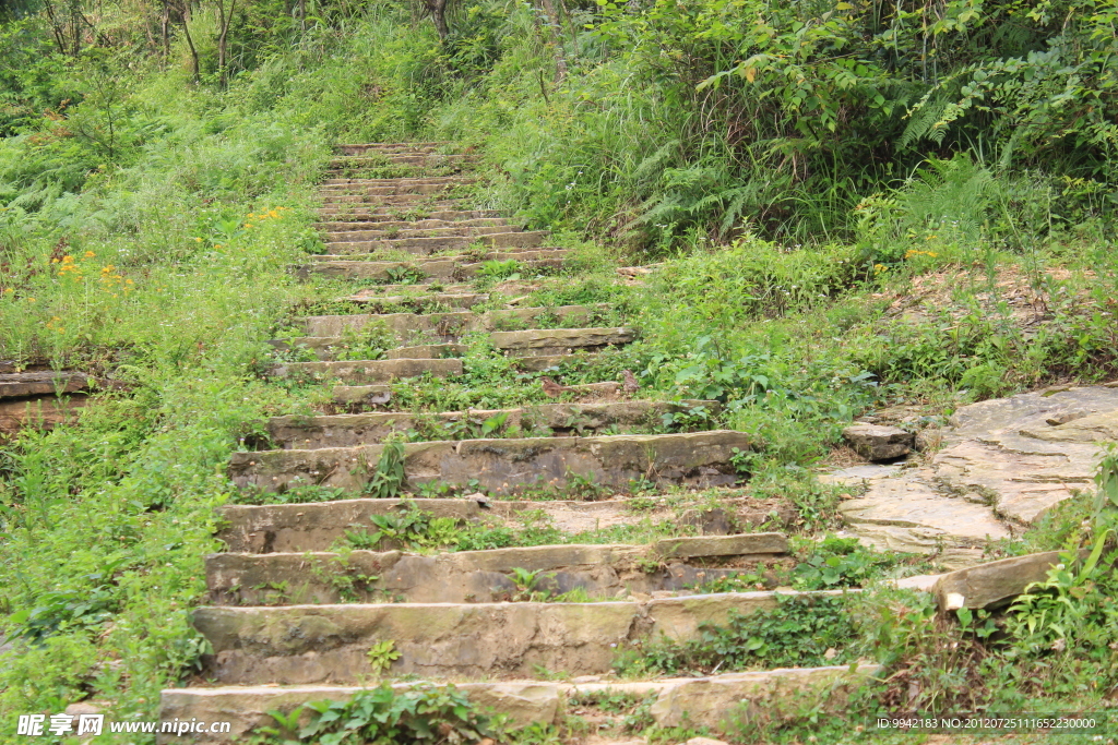 山中小路