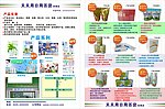 天天用宣传单张