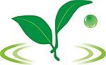 茶叶
