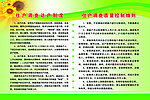 制度排版设计