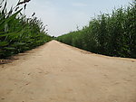 乡村公路