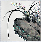 兰花