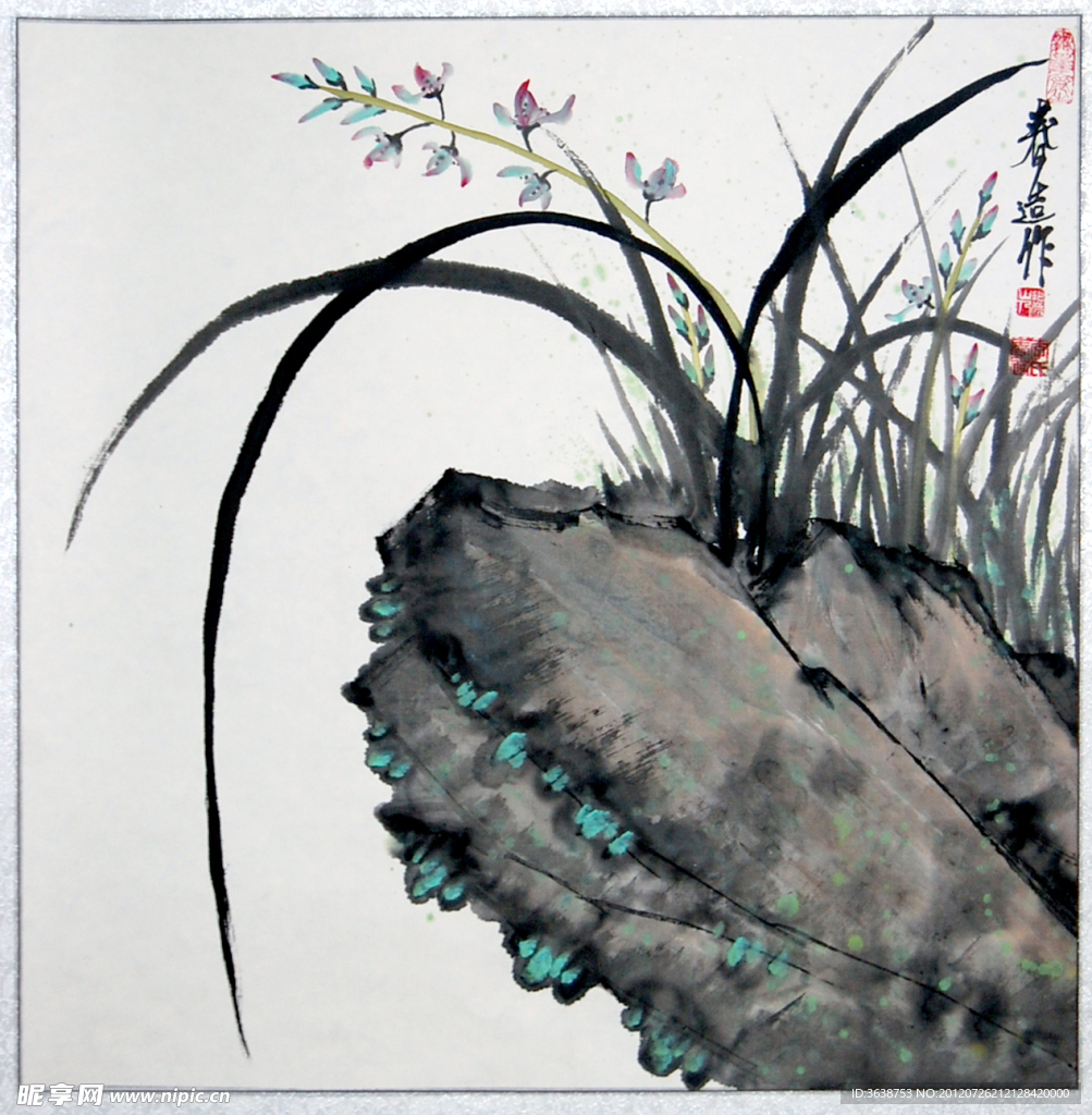 兰花